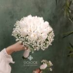 گل‌ فروشی آنلاین سولوکس